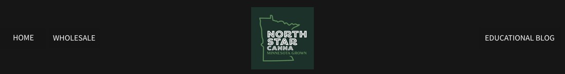 North Star Canna LLC